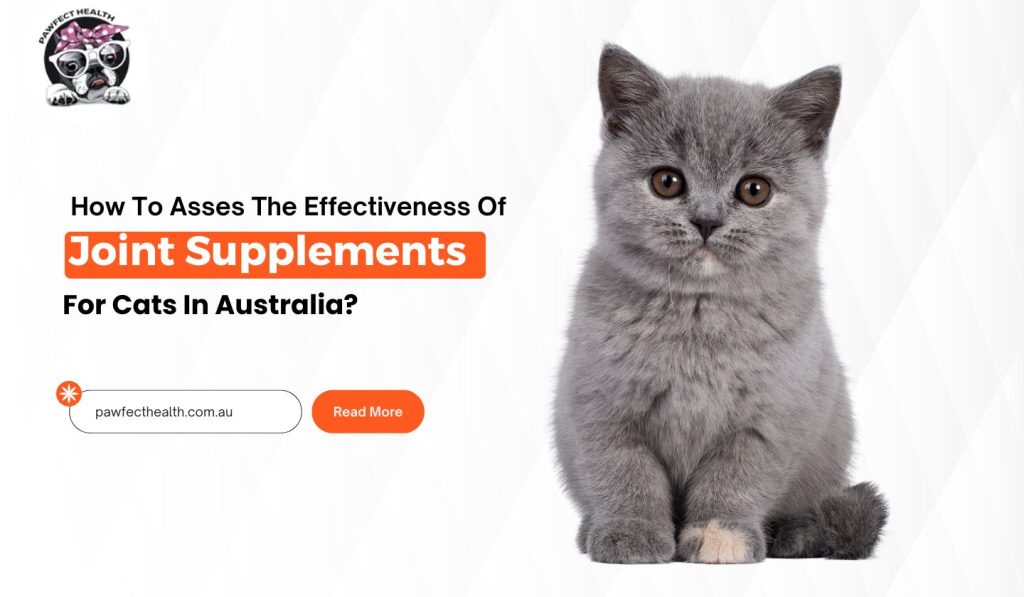 How To Asses The Effectiveness Of Joint Supplements For Cats In Australia?