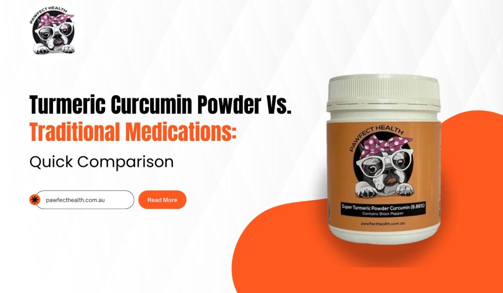 Turmeric Powder Vs. Traditional Medications: Quick Comparison